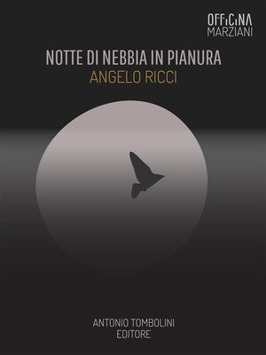 cover image of Notte Di Nebbia In Pianura